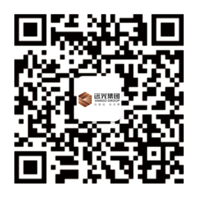 远光集团