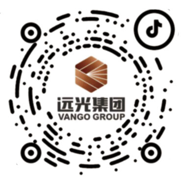 远光集团